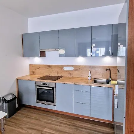 Very Stylish Ii & Secure Penthouse -free Parking Apartman Łódź