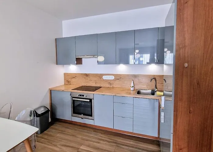 Very Stylish Ii & Secure Penthouse -free Parking Lägenhet Łódź